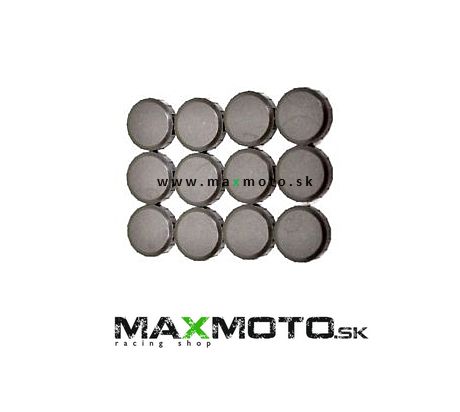 Magnetky variátora CAN-AM Renegade, Outlander, Commander a iné, 03-23, 420281296