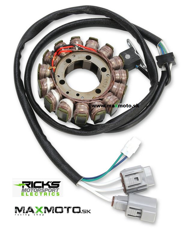 Stator_KAWASAKI__58bff62f5be20.jpg