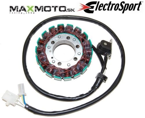 Stator_YAMAHA_FZ_55af5a8e24ce9.jpg