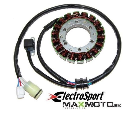 Stator_YAMAHA_Gr_58c1619554218.jpg