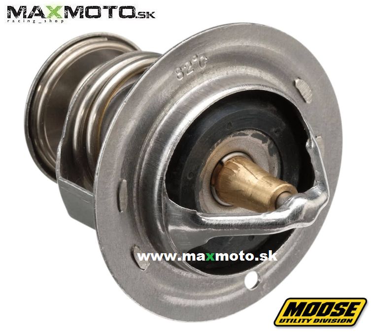 Termostat POLARIS RZR 900/ 1000