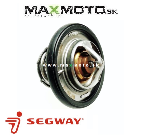 Termostat SEGWAY Snarler AT6, F01H00100001