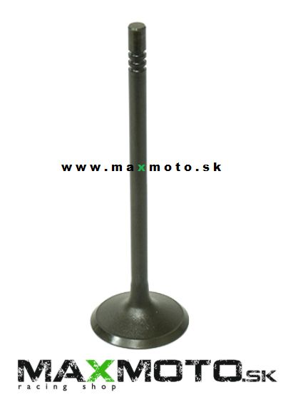 Ventil sací POLARIS 700/ 800 08-16 (35x5,97x114,65mm) 5132696