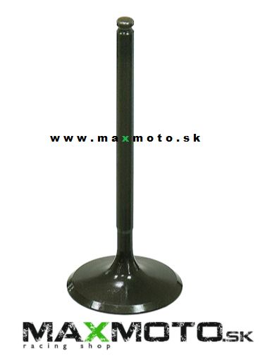 Ventil sací CAN-AM Outlander 450/ 850/ 1000, Renegade 1000, Maverick 1000, 420254355