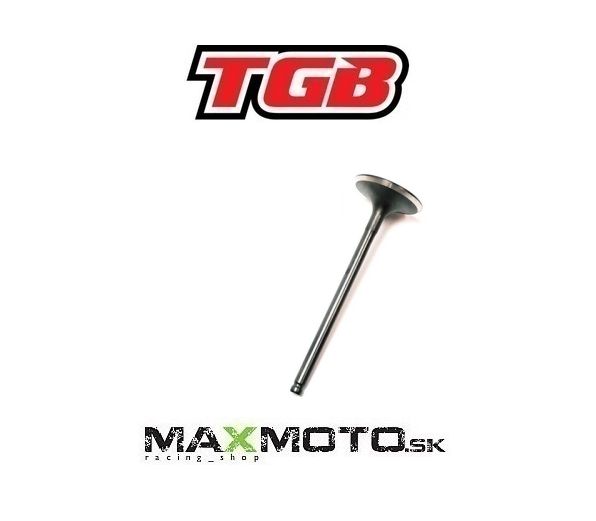 Ventil sací/ výfukový TGB Blade 600/ 1000, Target 600, 910283/ 910284