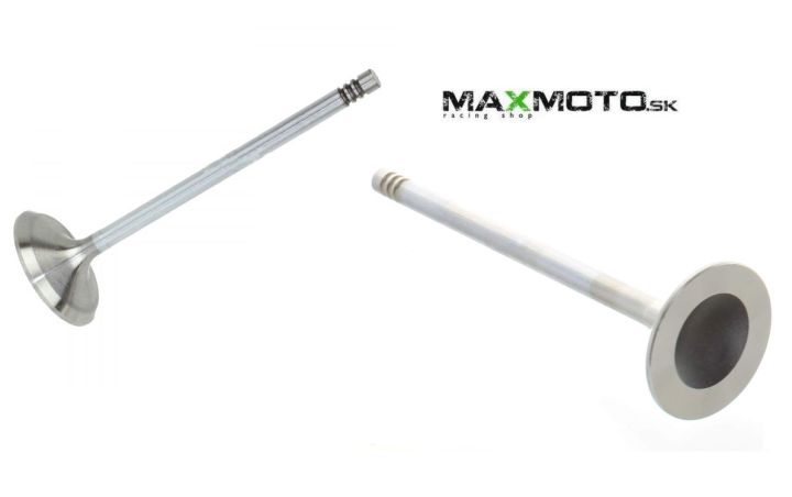 Ventil sací / výfukový CAN-AM Outlander, Renegade Commander 800 420254351, 420254361