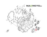 Gufero_variatora_CF_MOTO_Gladiator_X5_X6_Z6_RX510_RX530_UTV530_UTV630_22x38x7_0180_012004_TG22x38x7_schema
