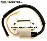 Indukcna_cievka_YAMAHA_DT175_DT250_DT2MX250_MX100_MX125_24_72400_324_82310_10_00