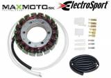 Stator_SUZUKI_In_55af6a1c4669e.jpg