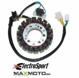 Stator_SUZUKI_Qu_58c11f5e17229.jpg