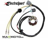 Stator_SUZUKI_RM_55641b757c9be.jpg