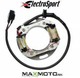 Stator_SUZUKI_RM_55c4bf038828b.jpg