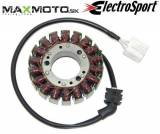 Stator_YAMAHA_FZ_55af5d6610dac.jpg