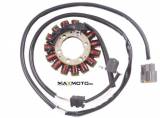 Stator_Yamaha_Gr_53a92ea63980c.jpg