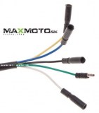 Stator_pre_ATV_PIT_BIKE_2_cievkovy_4T_ZC20011_1