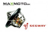 Termostat_SEGWAY_Snarler_AT6_F01H00100001_1