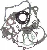 Tesnenie_motora__51651e8ddeef1.jpg