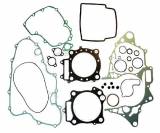 Tesnenie_motora__51652b26aa2dd.jpg