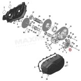 hviezda_variatora_CANAM_CALPS116_3x