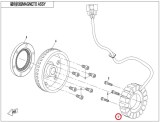 Magneto_stator_C_58b95e9884819.jpg