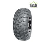 pnue_ATV_hakuba_P3035