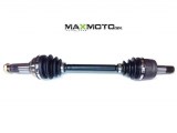 Poloos_YAMAHA_Gr_56a75f2ddb0eb.jpg