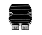 regulator_napatia_segway_A01M04400001