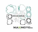 tesnenie_motora_CanAm2