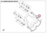 veko_hlavy_cf_moto_gladiator_0800-021001_2